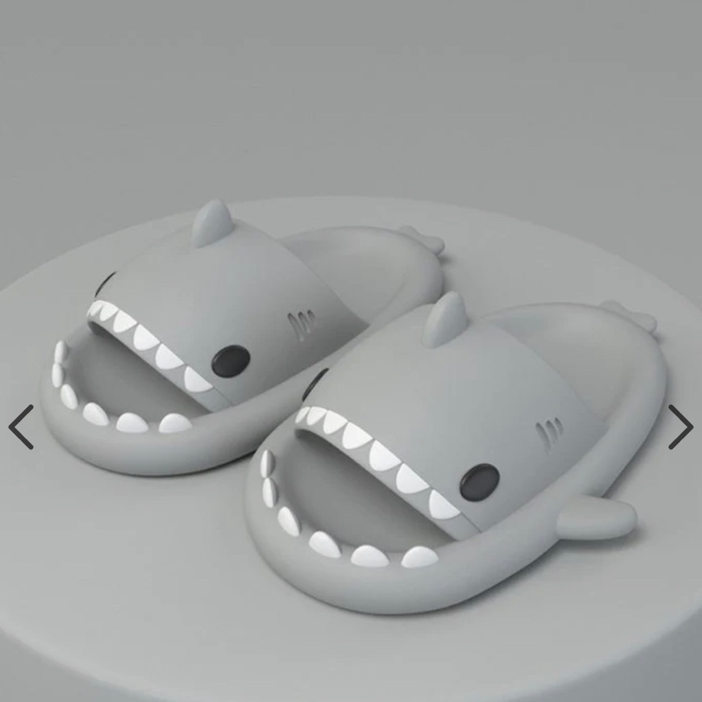 Shark Slides NWT